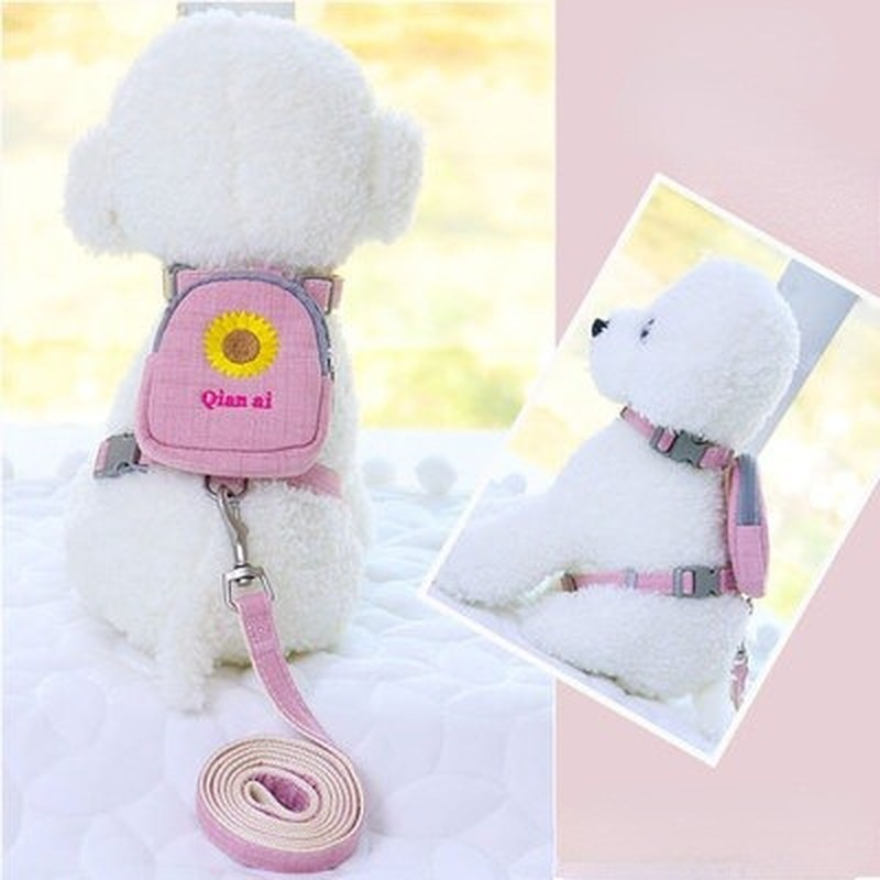 New-Dog-Harness-Backpack-With-Leash-Set-for-Puppy-Cat-Outdoor-Hiking-Camping-Multifunction-dog-harness-1