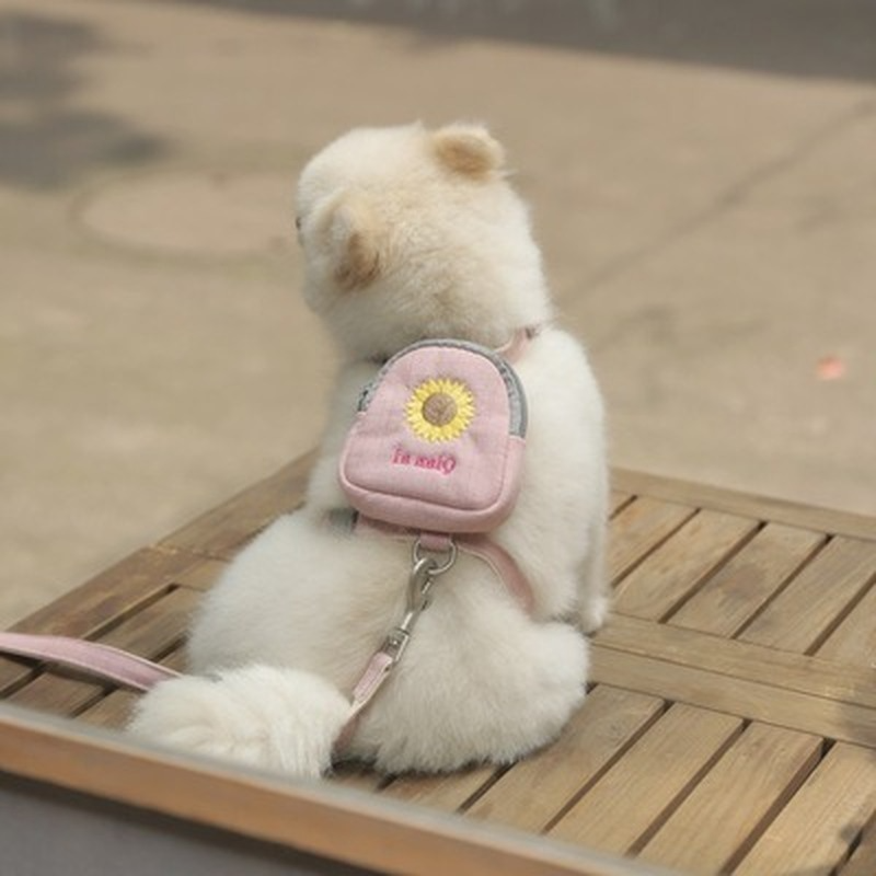 New-Dog-Harness-Backpack-With-Leash-Set-for-Puppy-Cat-Outdoor-Hiking-Camping-Multifunction-dog-harness-5